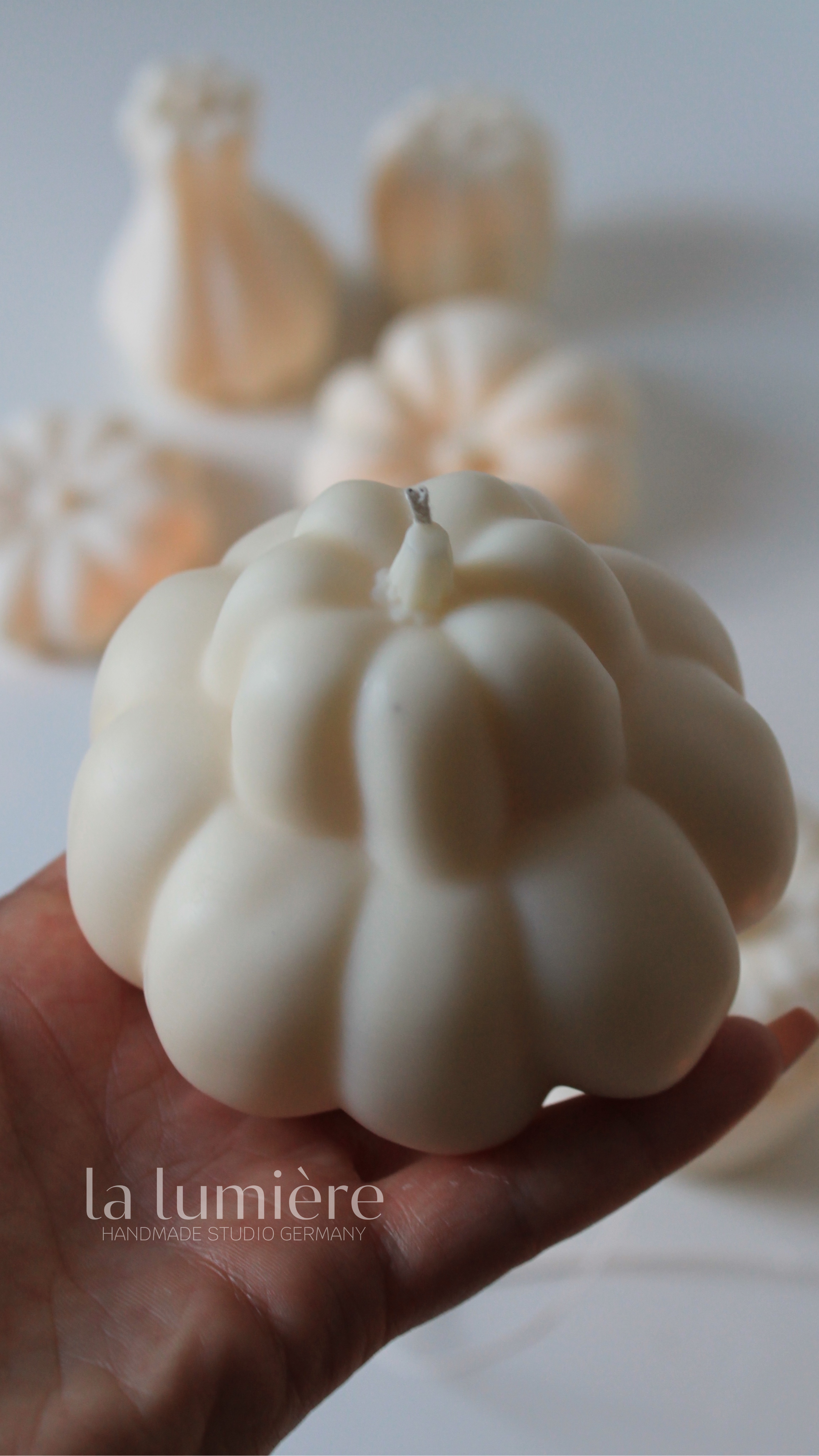 Aesthetic Pumpkin Set 2