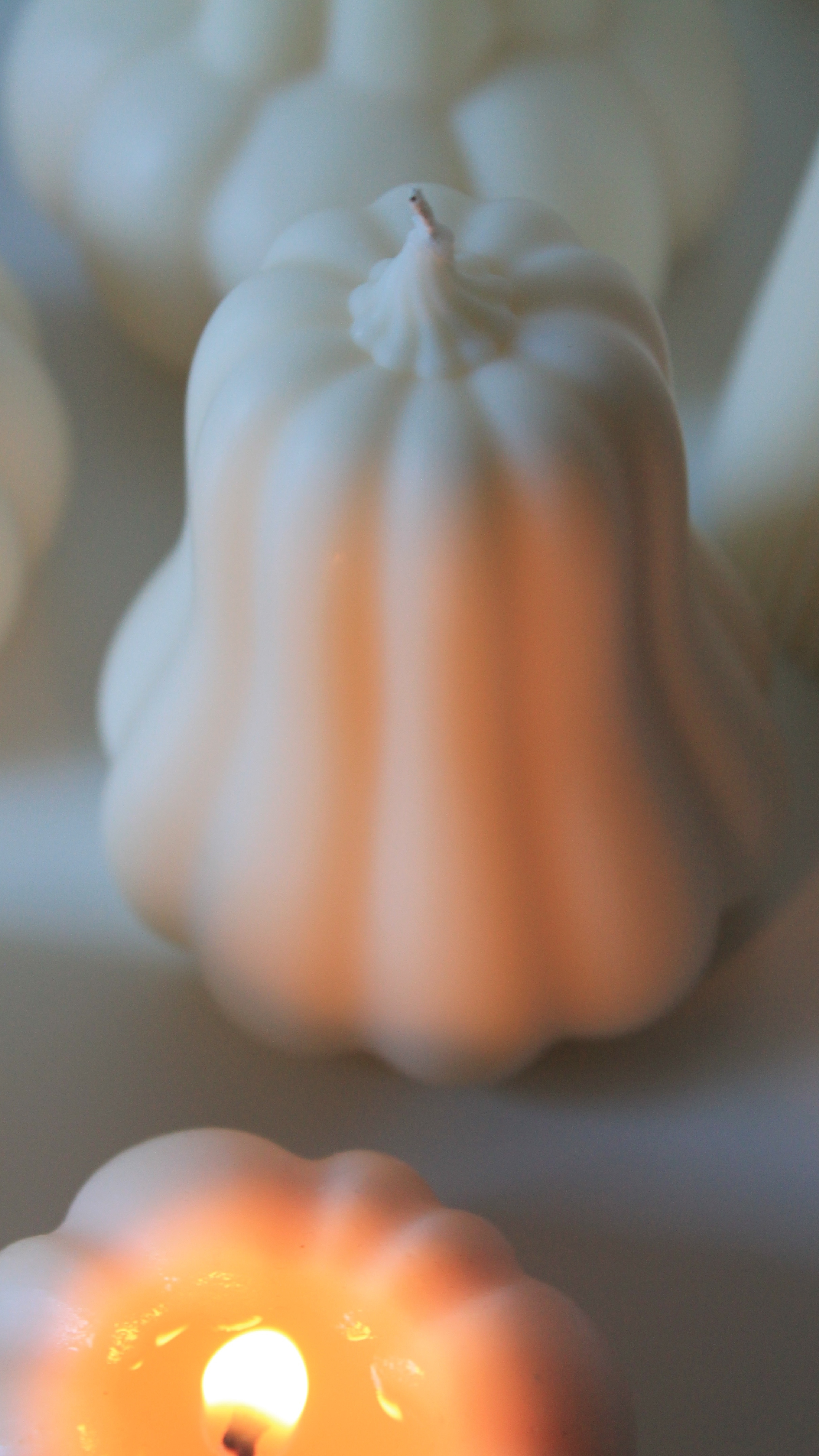 Aesthetic Pumpkin - Tallokin