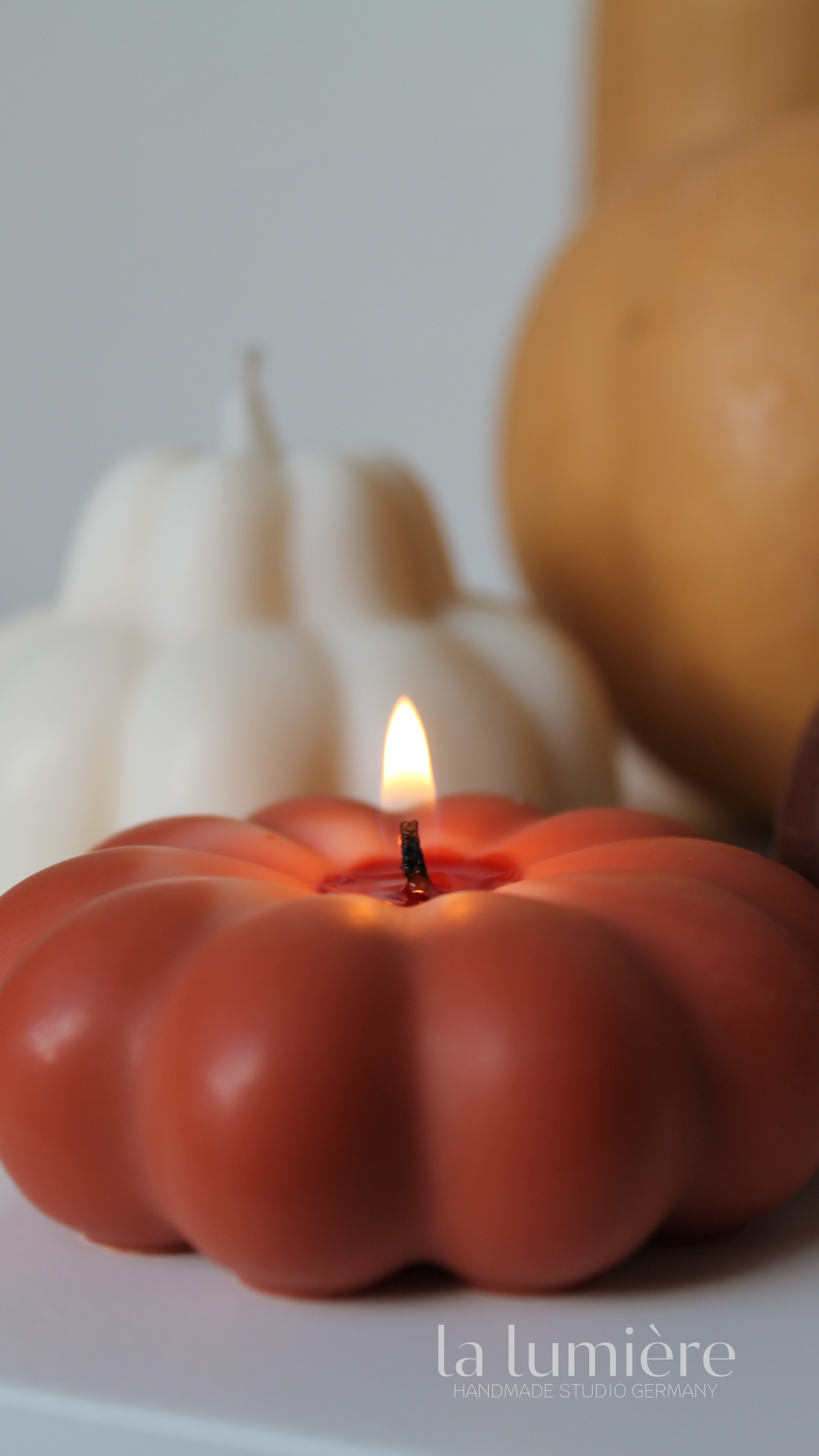 Aesthetic Pumpkin - Flatkin