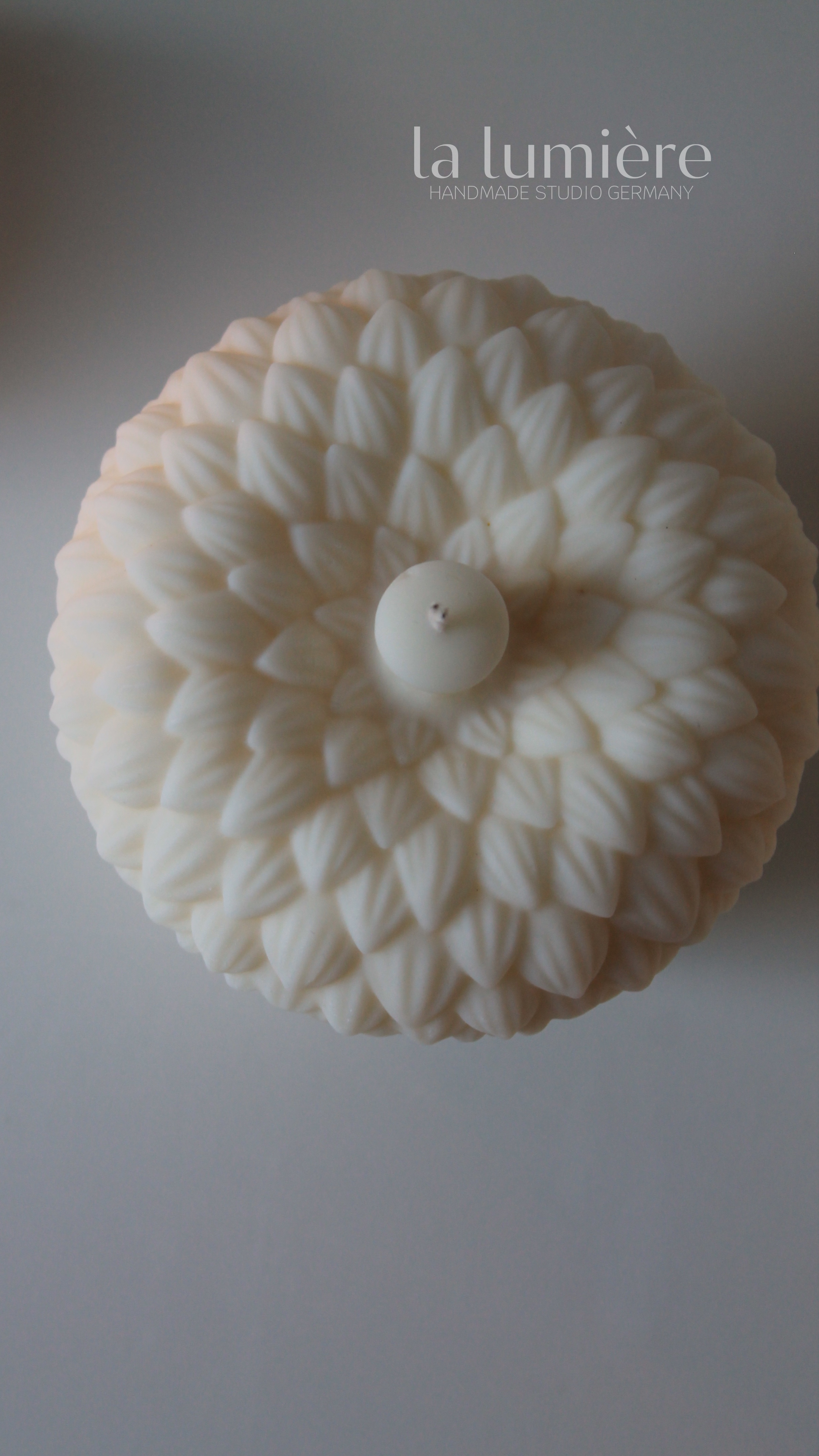 The Acorn