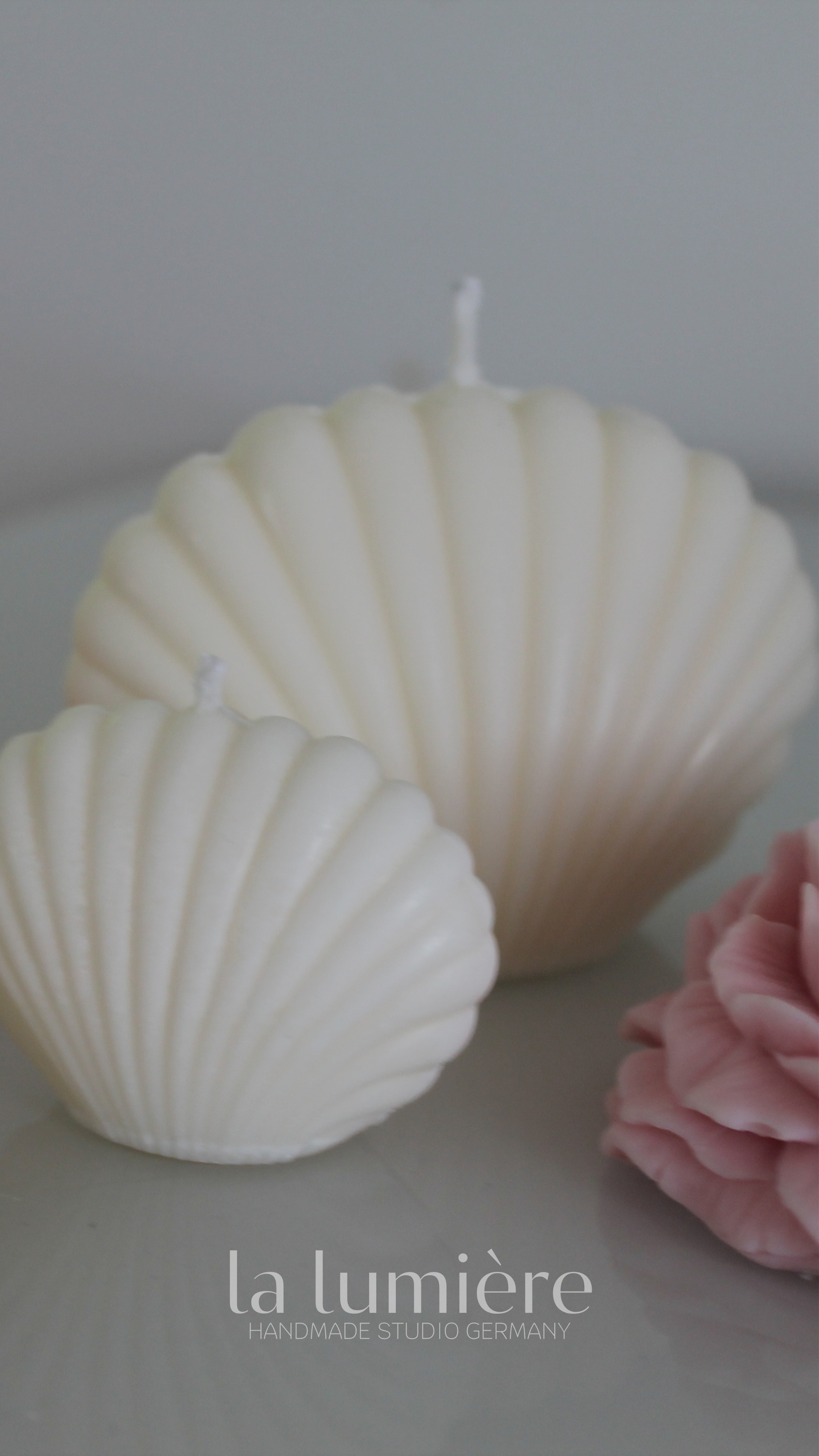 Sea Shell