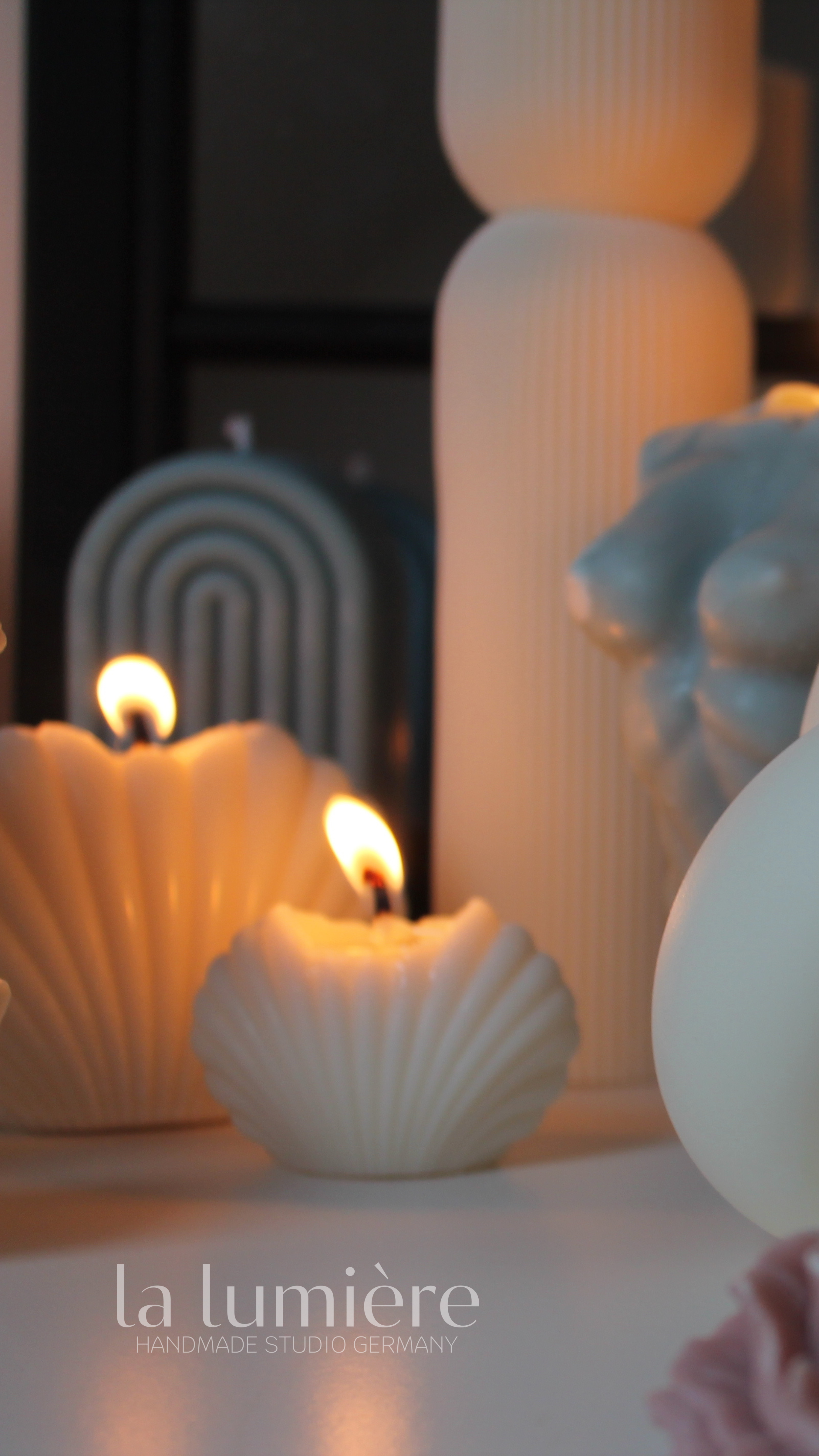 Sea Shell
