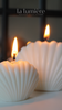 Sea Shell