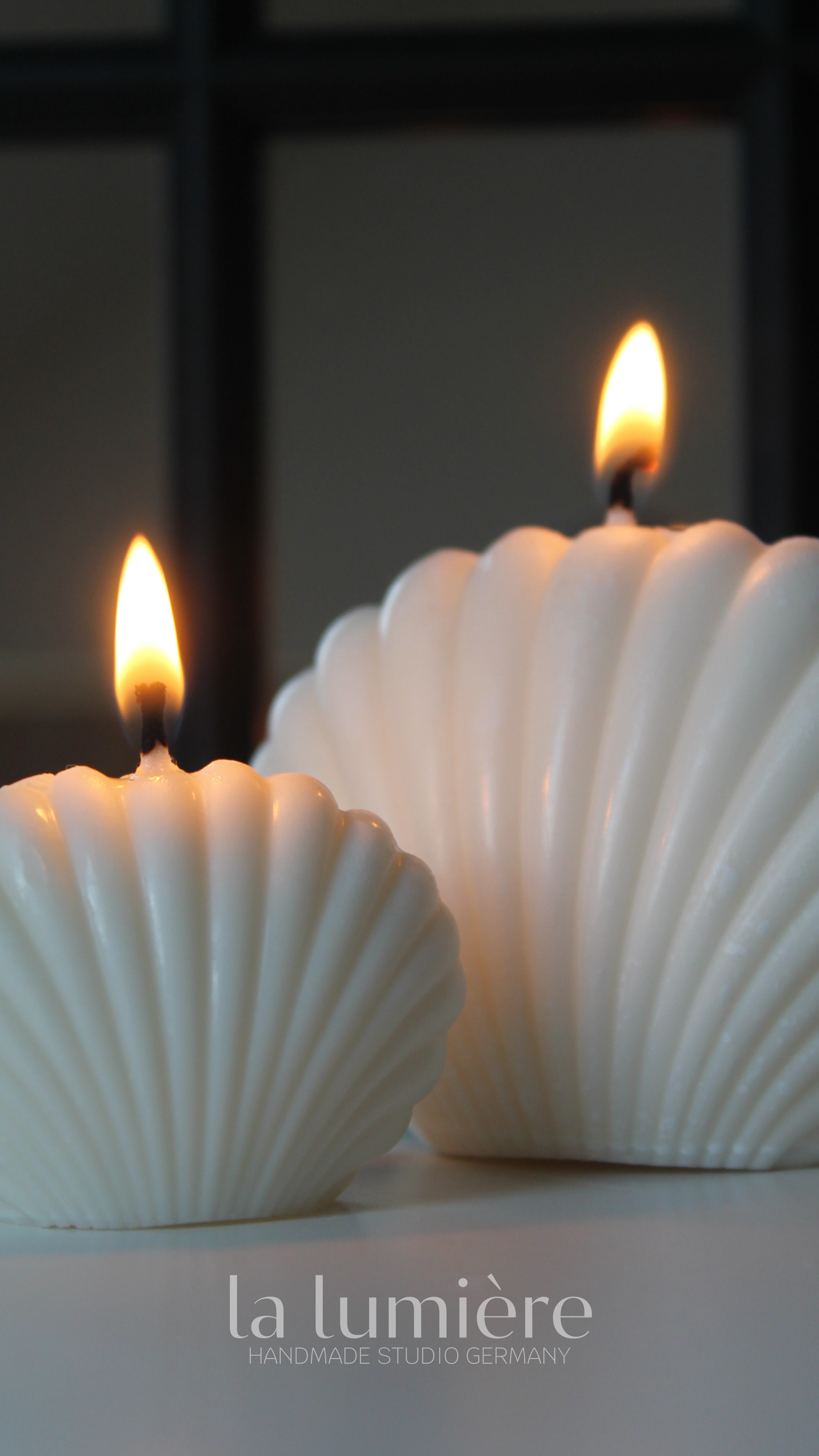 Sea Shell