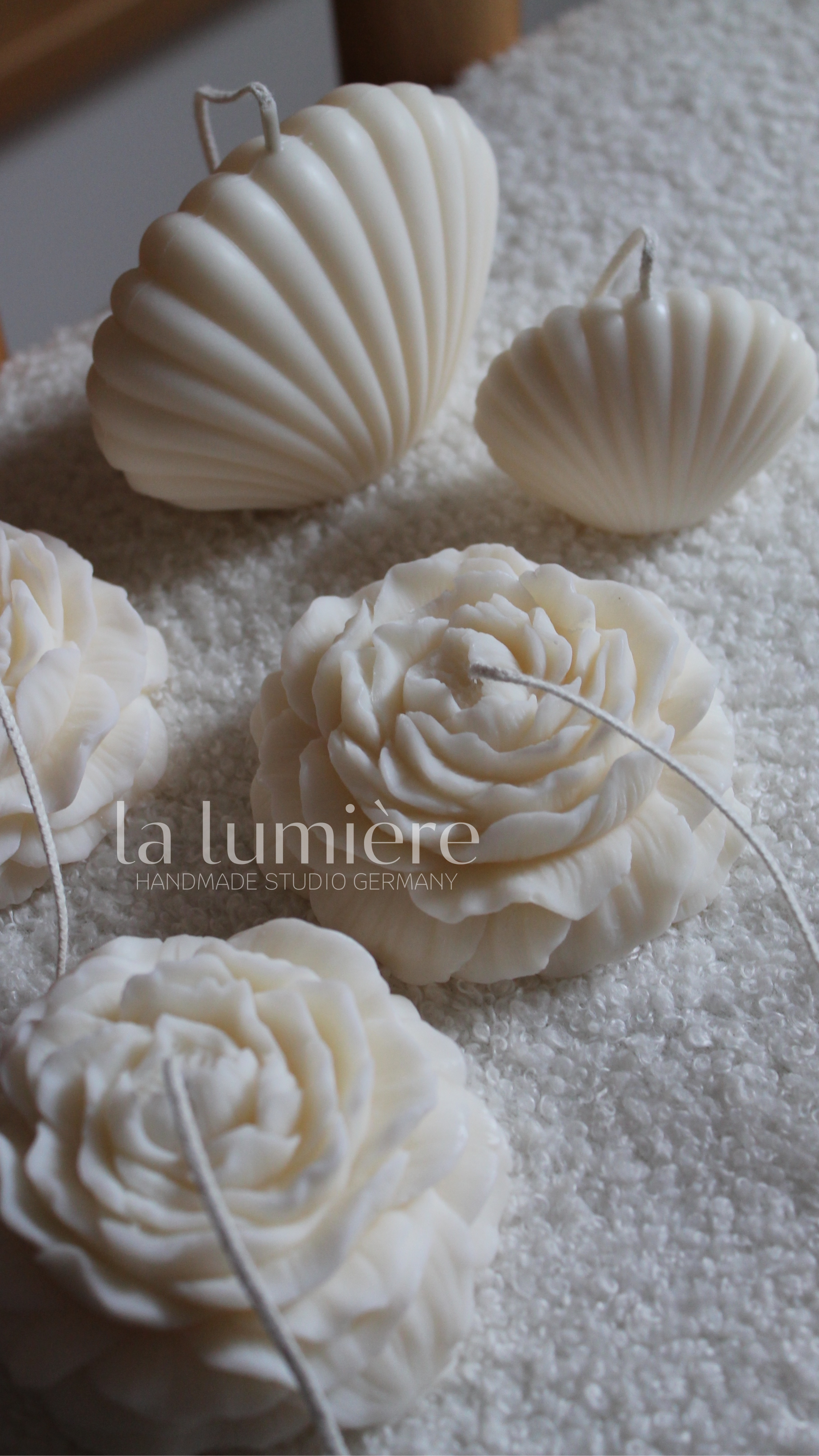 Sea Shell
