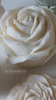 Big Rose