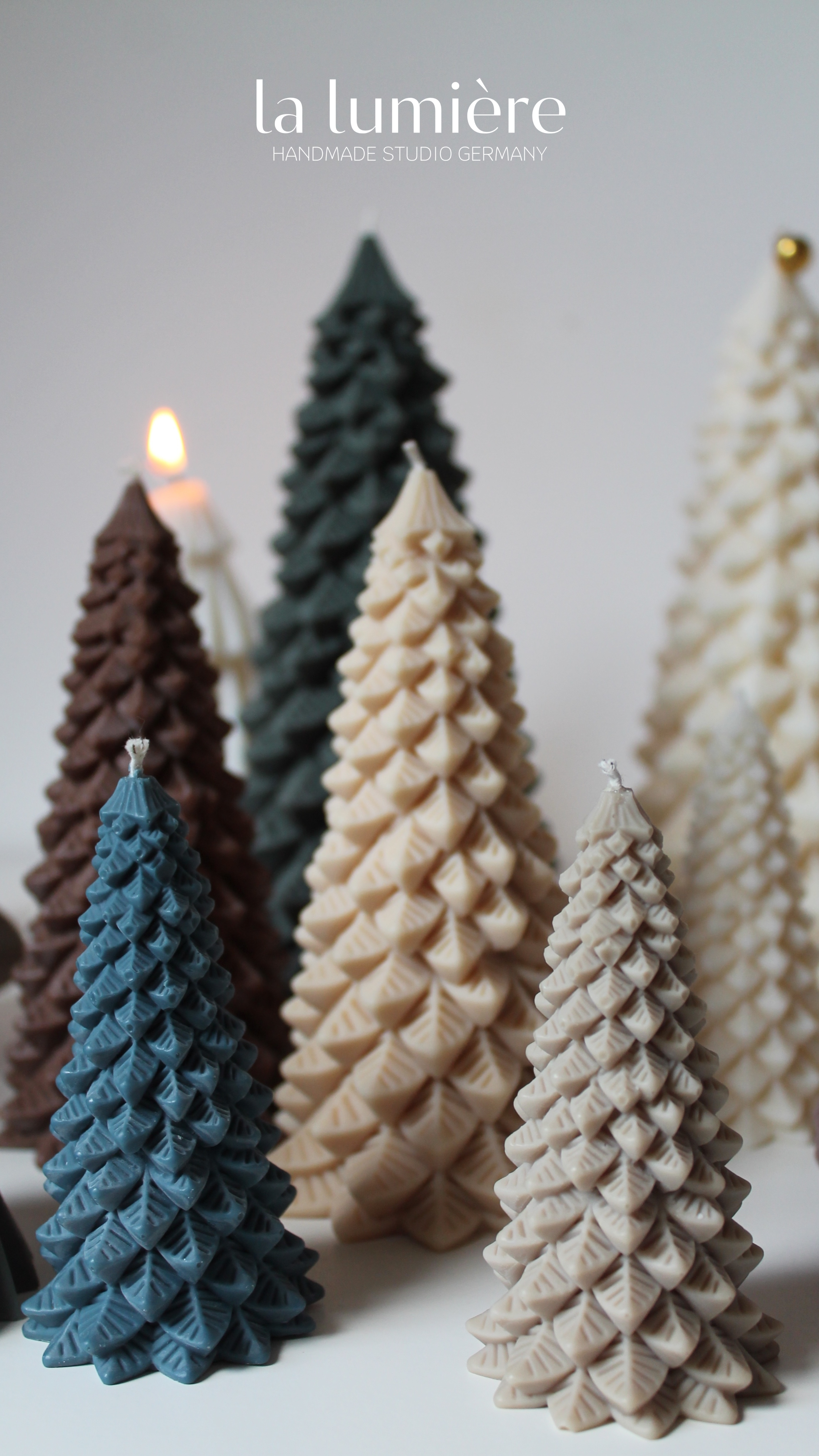 Nordmanntanne (Large)