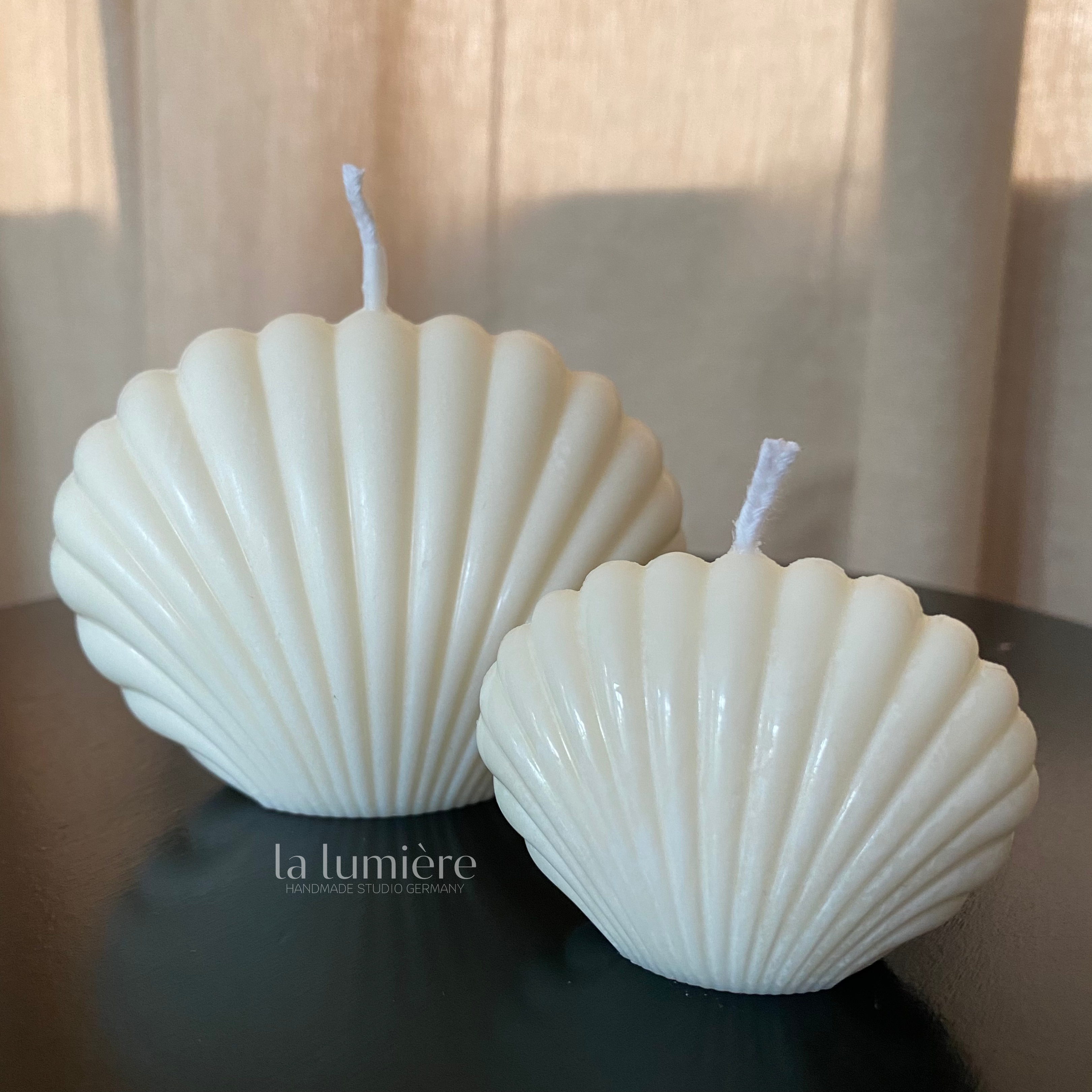 2er Set Sea Shell